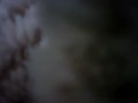 Snapshot of 07YUKIO chatting on 01.24.25 07YUKIO online show from 01.24.25