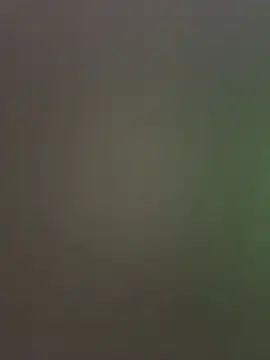 Snapshot of palomamoraid chatting on 12.20.24 palomamoraid online show from 12.20.24