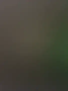 Snapshot of palomamoraid chatting on 12.27.24 palomamoraid online show from 12.27.24