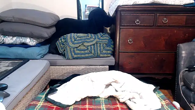 ladyscarlotta online show from 02.09.25