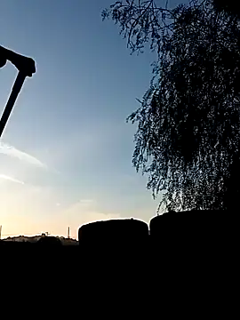 Snapshot of luke_thighwalker2469 chatting on 12.31.24 luke thighwalker2469 online show from 12.31.24