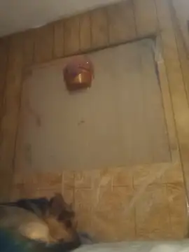 Snapshot of luke_thighwalker2469 chatting on 02.15.25 luke thighwalker2469 online show from 02.15.25