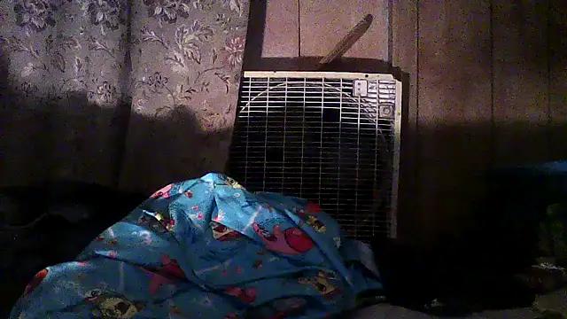 Snapshot of luke_thighwalker2469 chatting on 12.02.25 luke thighwalker2469 online show from 12.02.25