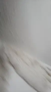 Siriss boyrag online show from 11.22.25