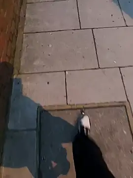 Snapshot of XMenX24 chatting on 03.22.25 XMenX24 online show from 03.22.25