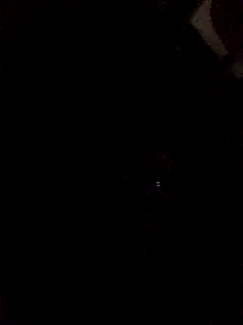 nevessartori online show from 01.18.25