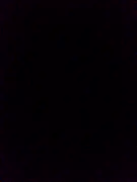 Snapshot of WrongedParvo chatting on 10.19.25 WrongedParvo online show from 10.19.25