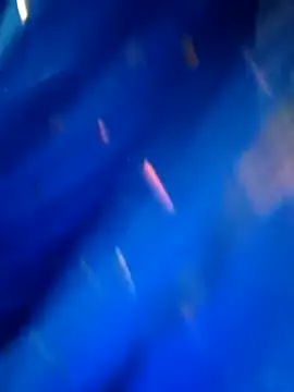 Snapshot of sneha_rose chatting on 09.08.25 sneha rose online show from 09.08.25