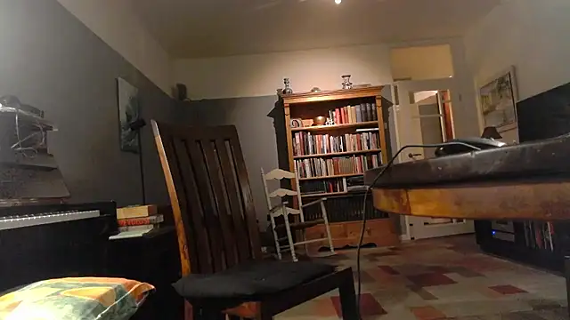 Snapshot of RolfS chatting on 01.11.26 RolfS online show from 01.11.26