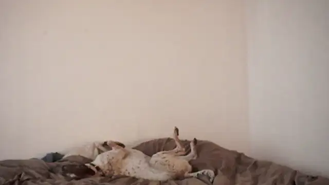 Snapshot of Stephany_talks chatting on 03.19.25 Stephany talks online show from 03.19.25