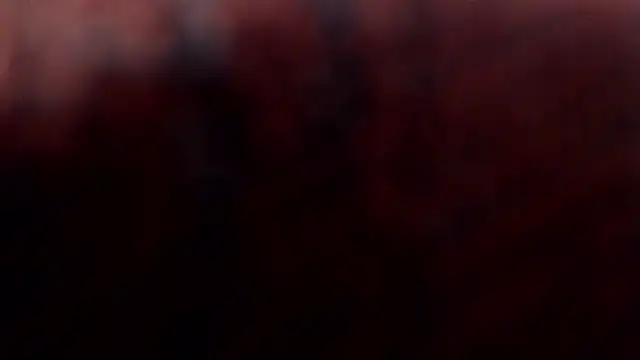 1BECHA1 online show from 03.05.26