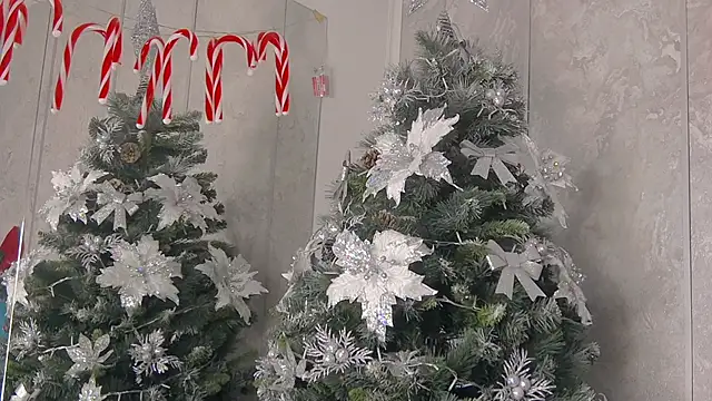 Snapshot of AlyseReuse chatting on 01.05.25 AlyseReuse online show from 01.05.25