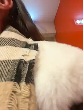 Snapshot of beautydiamond chatting on 01.20.25 beautydiamond online show from 01.20.25