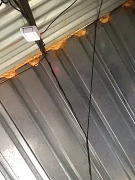 Snapshot of realGsign chatting on 02.09.25 realGsign online show from 02.09.25