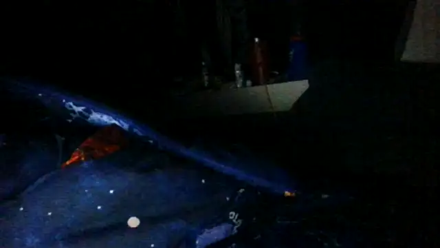 Snapshot of toast843 chatting on 02.09.25 toast843 online show from 02.09.25