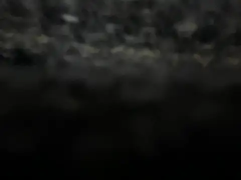  my ass  online show from 02.09.25