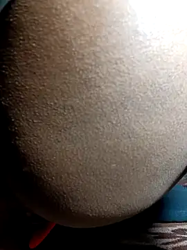 Fucker boy 1 online show from 12.24.24