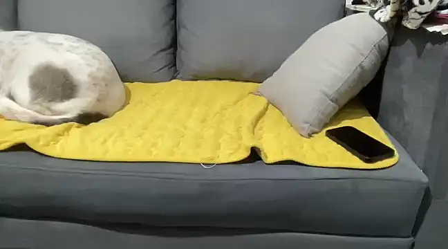 Snapshot of 4small4inchlol chatting on 01.28.25 4small4inchlol online show from 01.28.25