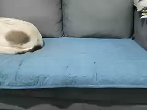 Snapshot of 4small4inchlol chatting on 02.20.25 4small4inchlol online show from 02.20.25