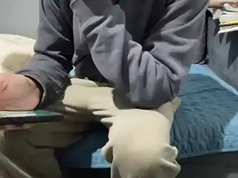 Snapshot of 4small4inchlol chatting on 02.21.25 4small4inchlol online show from 02.21.25