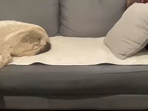 Snapshot of 4small4inchlol chatting on 09.17.25 4small4inchlol online show from 09.17.25