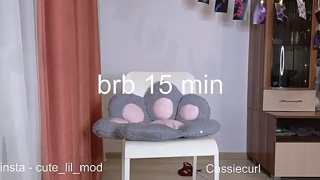 Snapshot of art_phoenix chatting on 12.01.24 art phoenix online show from 12.01.24