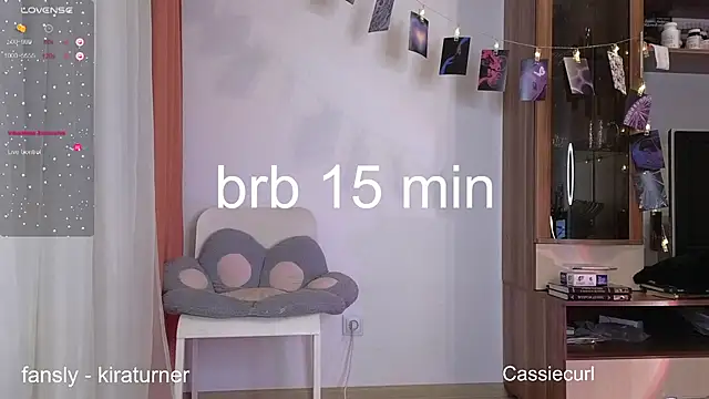 Snapshot of art_phoenix chatting on 02.23.25 art phoenix online show from 02.23.25