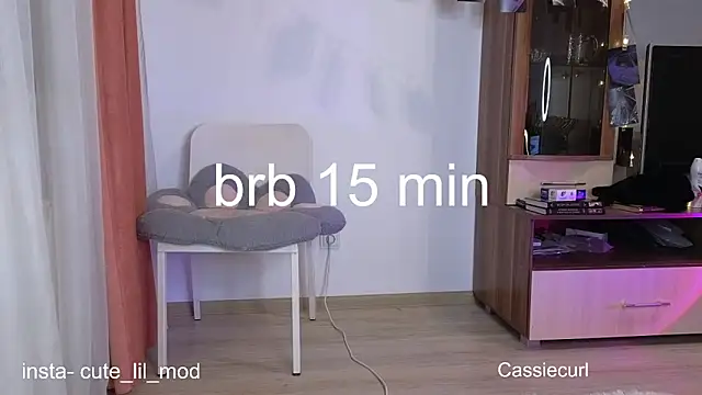 Snapshot of art_phoenix chatting on 03.07.25 art phoenix online show from 03.07.25