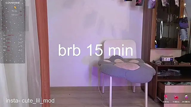 Snapshot of art_phoenix chatting on 03.11.25 art phoenix online show from 03.11.25