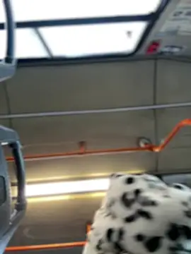 Milkyy wway online show from 01.19.25