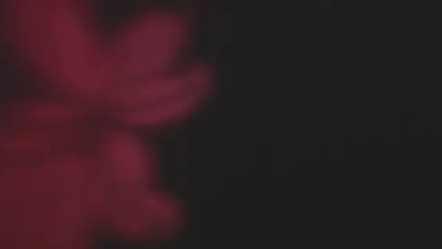 Lola69Rosexxx online show from 02.02.25