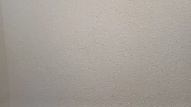 Snapshot of Bigass_skir chatting on 12.07.24 Bigass skir online show from 12.07.24