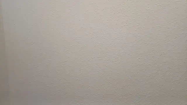 Snapshot of Bigass_skir chatting on 01.30.25 Bigass skir online show from 01.30.25