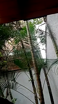 helen kinett online show from 12.27.24