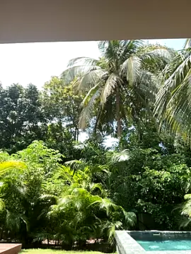 Snapshot of Olivia_Collins1 chatting on 09.16.25 Olivia Collins1 online show from 09.16.25