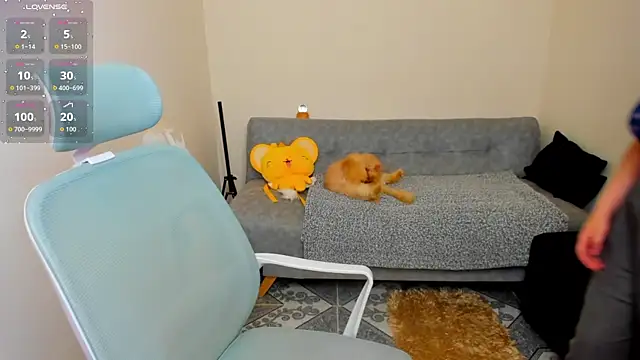 Sofiskies online show from 06.05.26