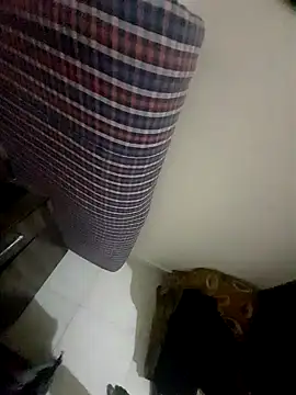 Snapshot of Nitya-Mahesh chatting on 03.26.26 Nitya-Mahesh online show from 03.26.26