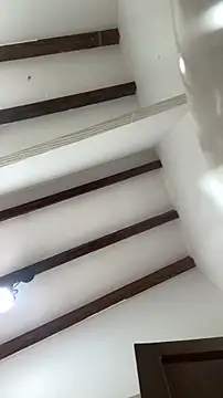 Arilw online show from 03.02.26