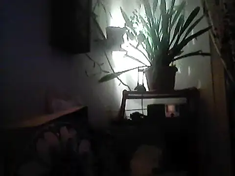 Snapshot of Bigpenis6y chatting on 12.30.24 Bigpenis6y online show from 12.30.24