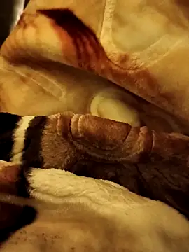 Snapshot of yhona_darling chatting on 12.16.25 yhona darling online show from 12.16.25