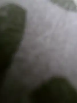 hungarian dick online show from 05.11.26