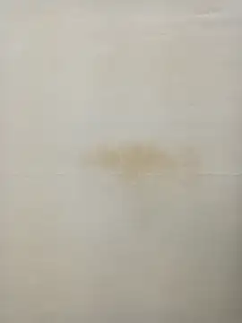 Snapshot of Rina777o chatting on 01.27.25 Rina777o online show from 01.27.25