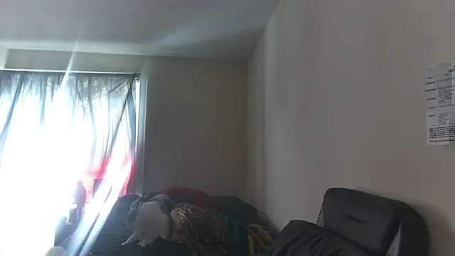 Snapshot of RickStone51 chatting on 03.02.26 RickStone51 online show from 03.02.26