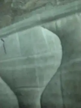 Snapshot of lm279 chatting on 02.19.25 lm279 online show from 02.19.25