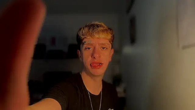 Snapshot of twentywithafelonyy chatting on 03.14.25 twentywithafelonyy online show from 03.14.25