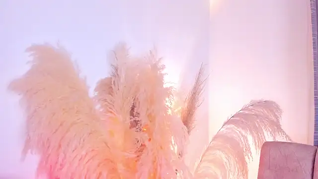 Snapshot of amelie_murphy_ chatting on 12.15.24 amelie murphy online show from 12.15.24