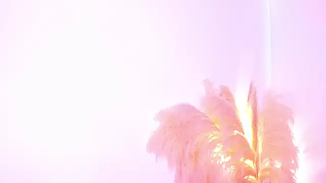 Snapshot of amelie_murphy_ chatting on 02.02.25 amelie murphy online show from 02.02.25