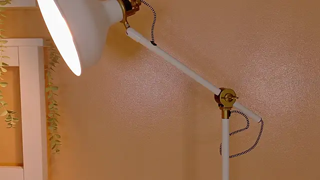 ParisFox  online show from 03.08.26