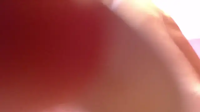 alana storm62 online show from 11.13.25