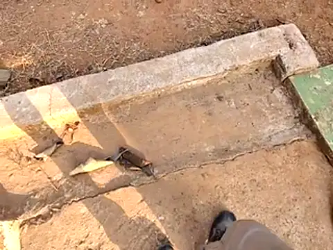 Snapshot of Ishan003 chatting on 02.15.26 Ishan003 online show from 02.15.26